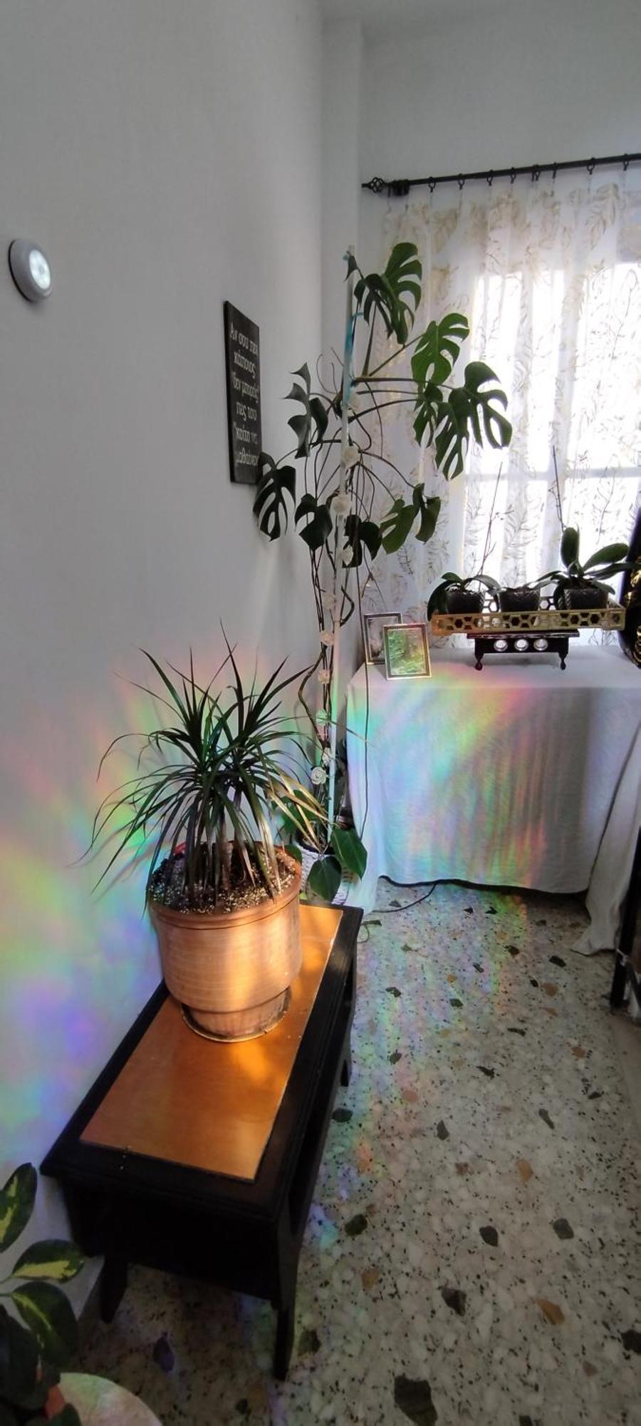 Cozy Room In Quiet Neighbourhood Атина Екстериор снимка